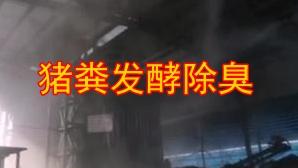 潔匠凈化·的凈工業除臭劑_【有機肥除臭】豬糞發酵除臭現場：高壓噴霧除臭，解決大量氨氣、硫化氫等臭氣！