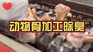 潔匠凈化·的凈工業除臭劑_動物骨回收、加工，除臭劑怎么用？潔匠消除氨氣、硫化氫等大量異味！