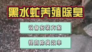 潔匠凈化·的凈工業除臭劑_黑水虻養殖除臭，為什么推薦高壓噴霧除臭？