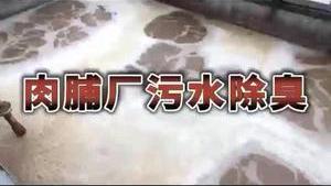 潔匠凈化·的凈工業除臭劑_肉脯加工污水除臭實驗（一） AMG-PRO下的異味監測： ①臭味成分“無所遁形” ②數據顯示異味濃度 ③加入潔匠除臭劑后異味濃度下降快 實驗小結：潔匠除臭劑分解異味、除臭速度快！