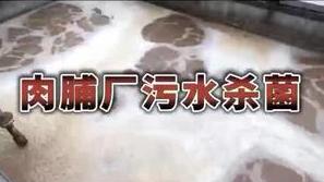 潔匠凈化·的凈工業除臭劑_肉脯加工污水實驗（二）： 高倍顯微鏡下，除臭劑快速殺菌！ 20秒見證除臭劑神奇效果！