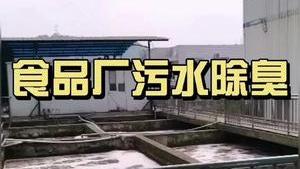 潔匠凈化·的凈工業除臭劑_食品廠污水除臭現場，除臭劑妥善解決刺激性異味！
