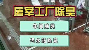 潔匠凈化·的凈工業除臭劑_屠宰廠惡臭情況復雜、影響周邊，巧用除臭劑，讓除臭工作變得簡單、輕松！