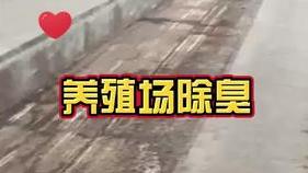 潔匠凈化·的凈工業除臭劑_養羊場臭味太重，快用除臭劑幫幫忙！潔匠工程師教你，噴霧除臭設備怎么裝！