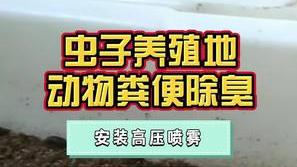潔匠凈化·的凈工業除臭劑_用豬糞、牛糞養殖黑水虻、蚯蚓、蠅蛆等蟲子，如何除臭？除臭劑不傷害蟲體健康，也避免周邊投訴！