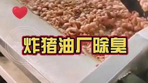 潔匠凈化·的凈工業除臭劑_炸豬肉廠除臭： 功能分解型除臭劑 全面解決豬油加工油煙異味濃問題！
