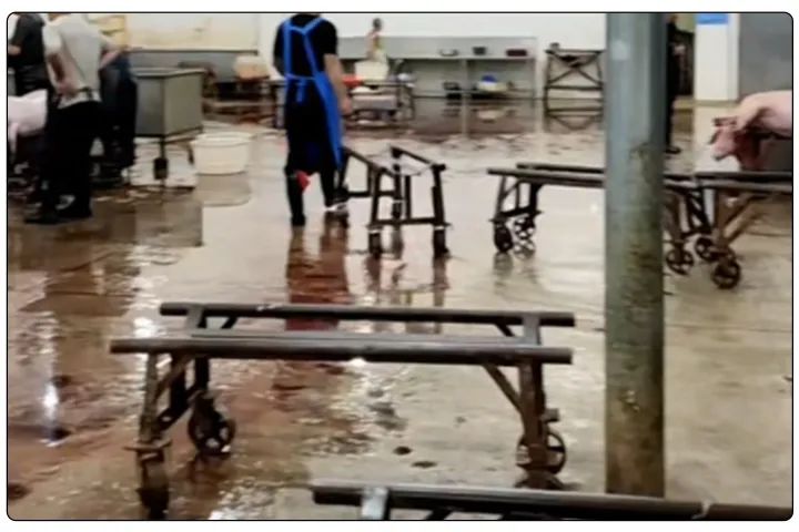 屠宰工廠惡臭影響周邊，使用除臭劑有什么注意要點？.jpg