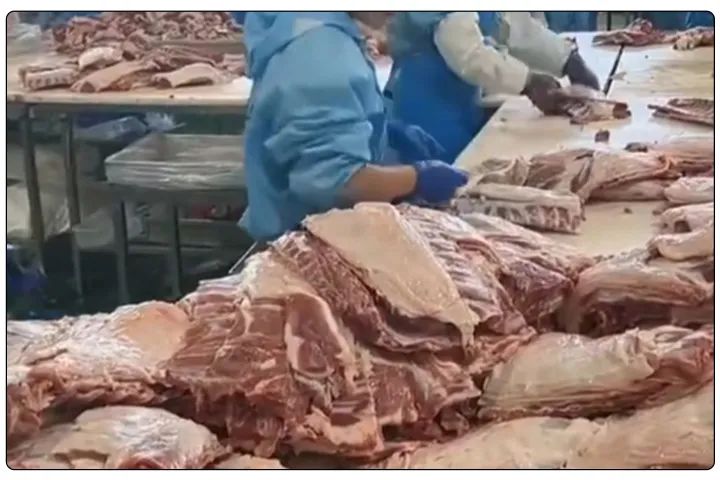屠宰工廠惡臭影響周邊，使用除臭劑有什么注意要點？.jpg
